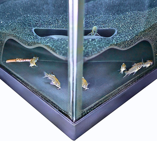 Aquarium underground corner - underground,