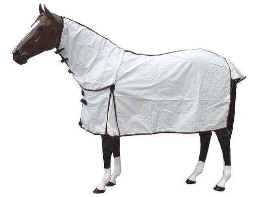 Horse pony summer combo - pony, kool