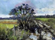 Fermanagh Landscape A