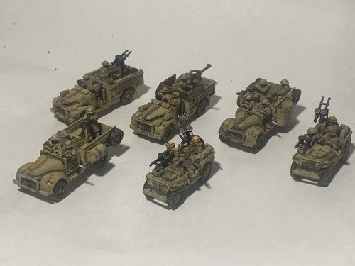 Long range desert group 100 - desert, 1/100
