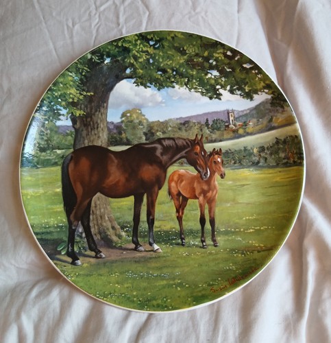 English thoroughbred horse - thoroughbred,