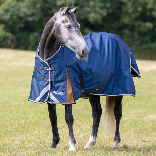 Shires horse highlander - shires,