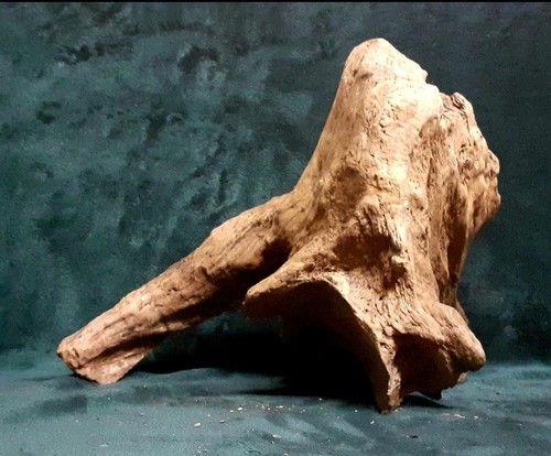 Large decorative wood bogwood - wood,