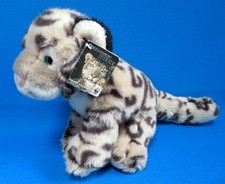 RARE! SNOW LEOPARD wild kitty