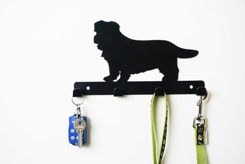 Norfolk terrier dog - norfolk,