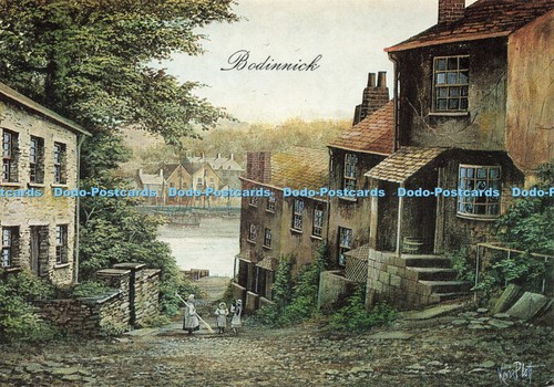 D222169 bodinnick surf - d222169,