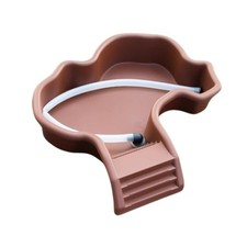 Tortoise Food Dish with Ramp