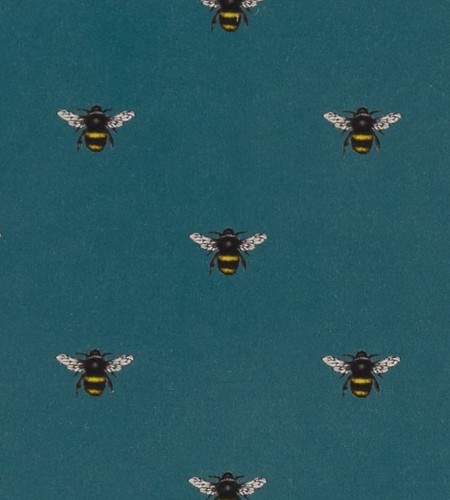 Clarke and abeja - clarke,