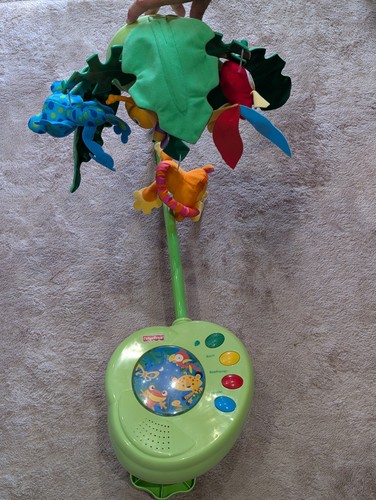 Fisher price rainforest - price,