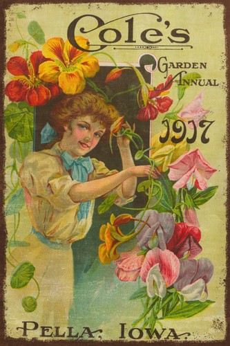 Floral garden annual advert - floral,