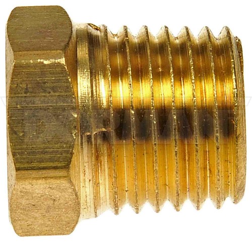 Pipe plug fits 1981 - plug, 1981-1984