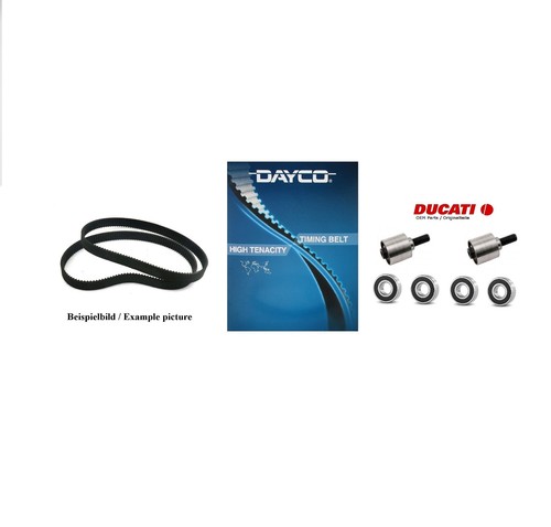 Ducati motor timing belt