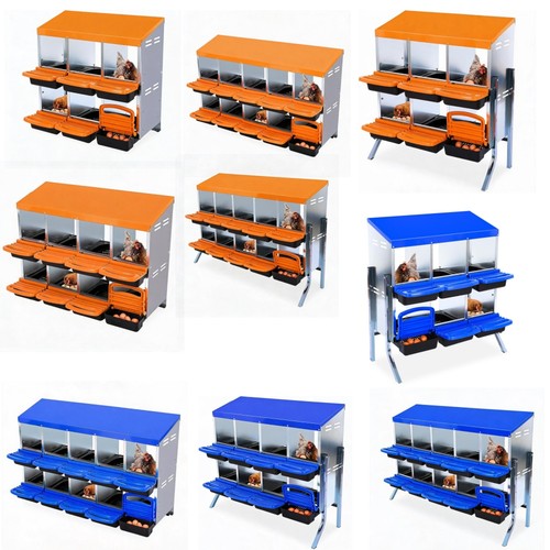 Compartment chicken - 6/8/10,