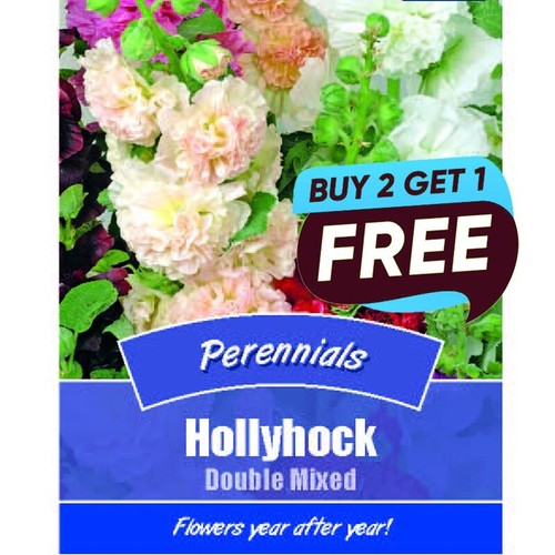 Hollyhock double mixed 40 - hollyhock,