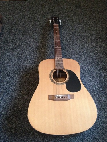 Encore w255 acoustic guitar - w255,