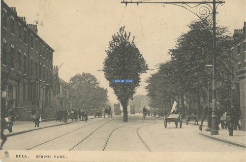 Hull memory lane - hull, lane: