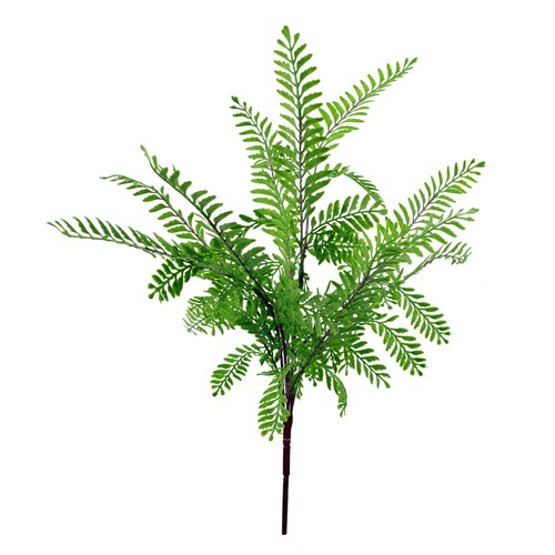 55cm himalayan maidenhair - maidenhair, fern