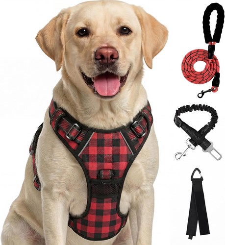 Furryfection pull dog - no-pull,