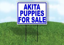 Akita PUPPIES FOR SALE BLUE