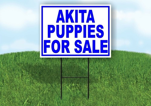 Akita puppies for sale - for, blue