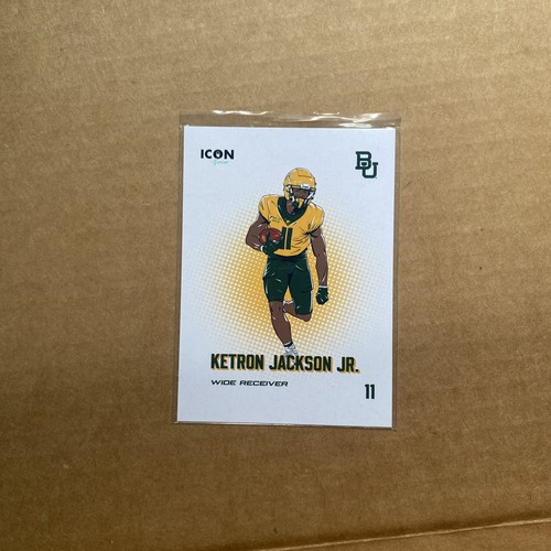 2023 onit baylor bears - 2023,