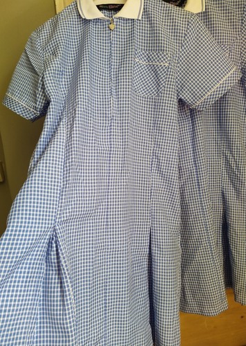 Gingham school dresses 3 - gingham,