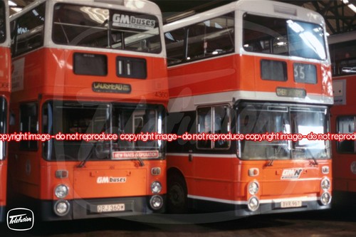 Bus photo buses north - photo, gm