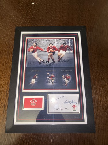 Wales wru rugby union framed - wru,