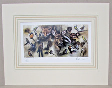 Mick Cawston British Wildlife