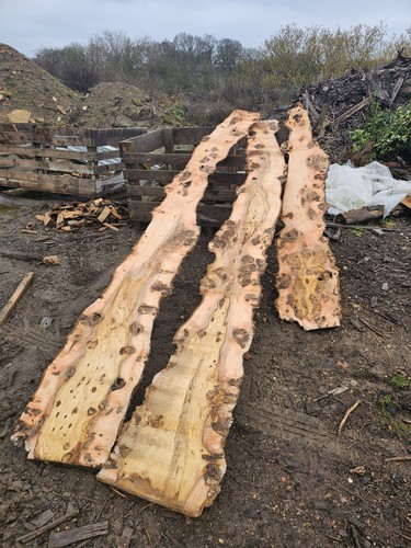 Burr burl ash - 7, slabs