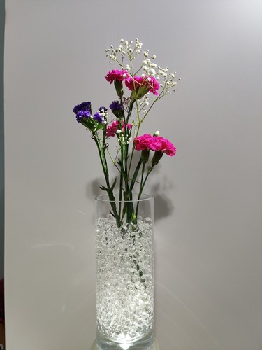 Orbeez water beads plant soil - orbeez,