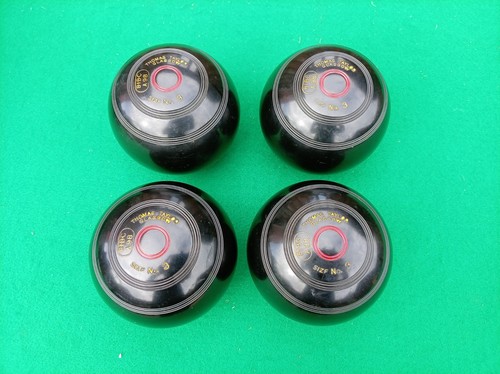 Thomas taylor size lignoid - 3,