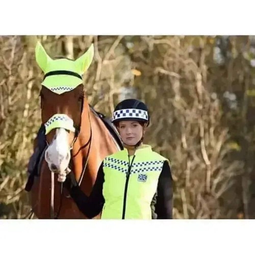 Equisafety polite viz - polite, hi