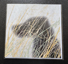 Ruscha dog 1995 greeting - -,