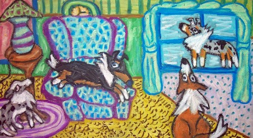 Shelties have taken - shelties,