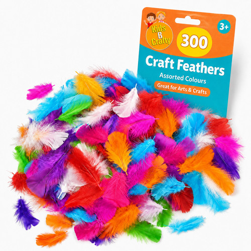 Feathers for crafts 300 - feathers,