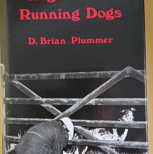 Plummer brian rogues and - d,