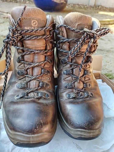 Scarpa terra gtx - terra, 37
