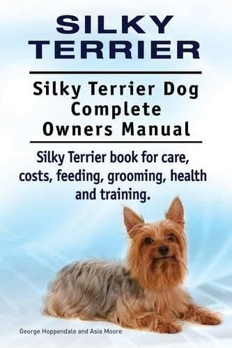 Silky terrier - terrier.,