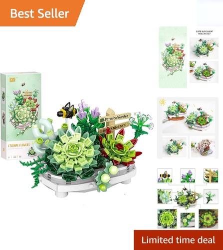 Creative succulents bonsai - succulents,