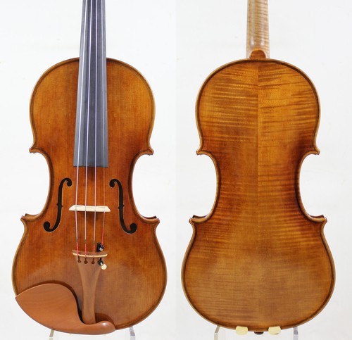 Antique oil varnish - varnish, andrea