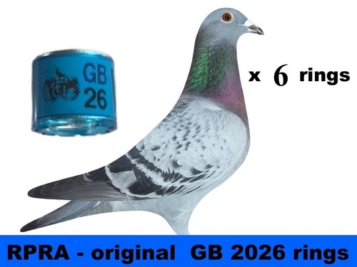 Rpra racing pigeons rings - rings, gb