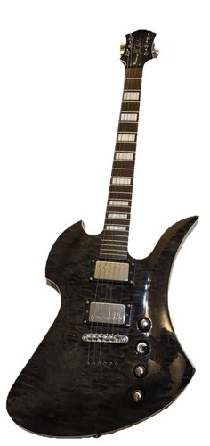 Rich mockingbird - b.c.,