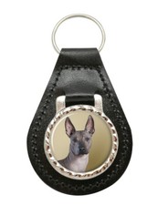 Mexican hairless dog - dog, leather