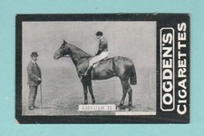 HORSE RACING  /  RACEHORSES  -