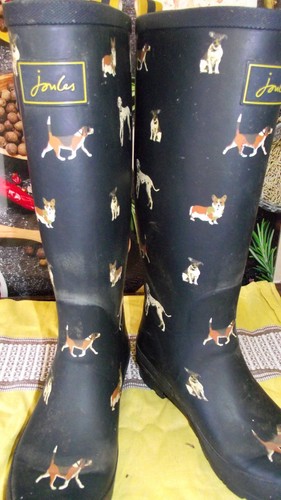 Joules dog walking wellies - joules,