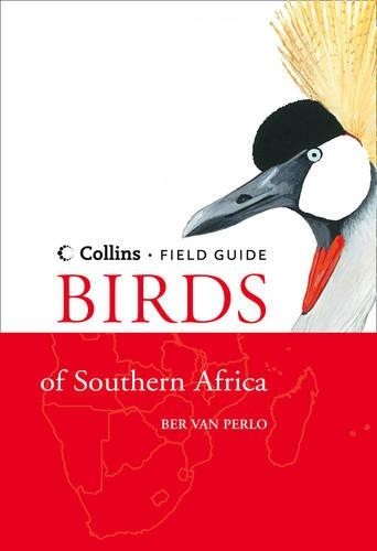 Birds southern africa - birds,