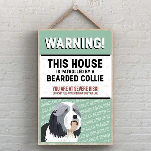Bearded collie the works - collie, k