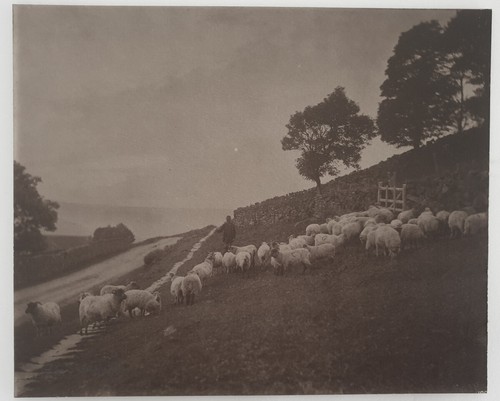 1890 frank meadow sutcliffe - ,