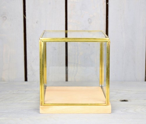 Glass and brass display - glass,